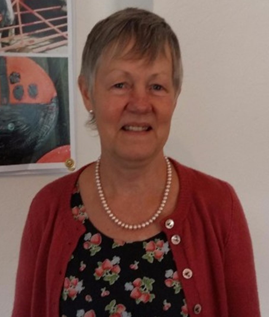 Ann Stokoe Trustee